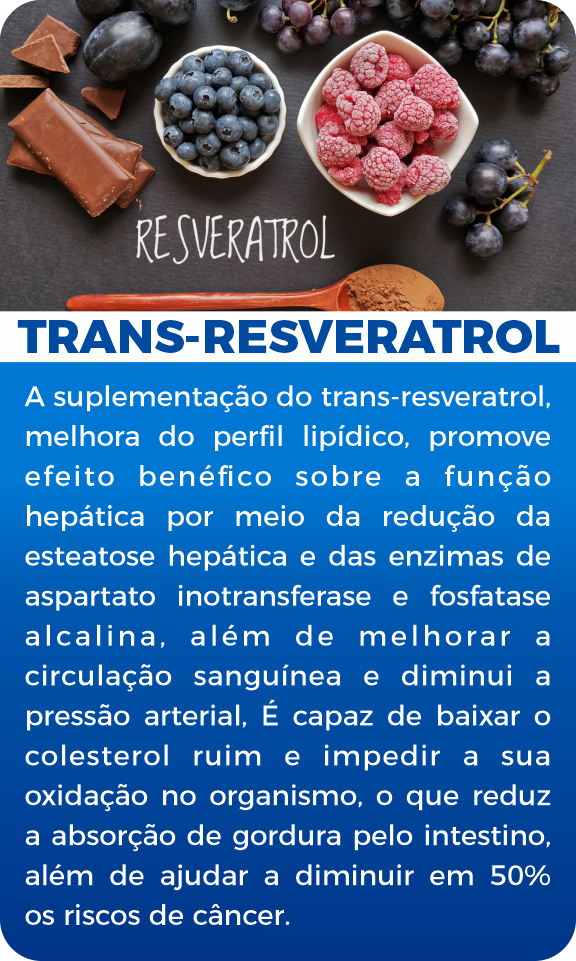 trans-1.png